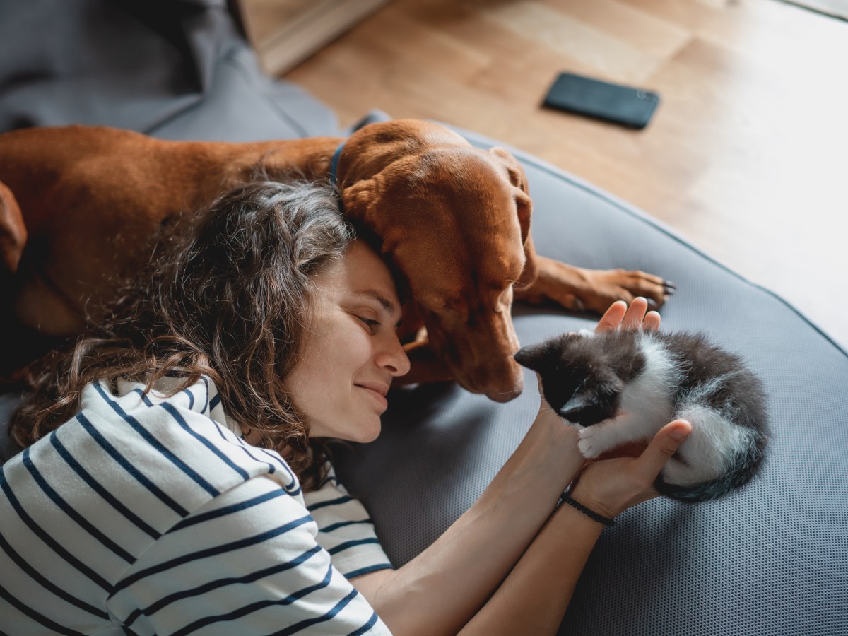 Frau mit Katzen und Hund