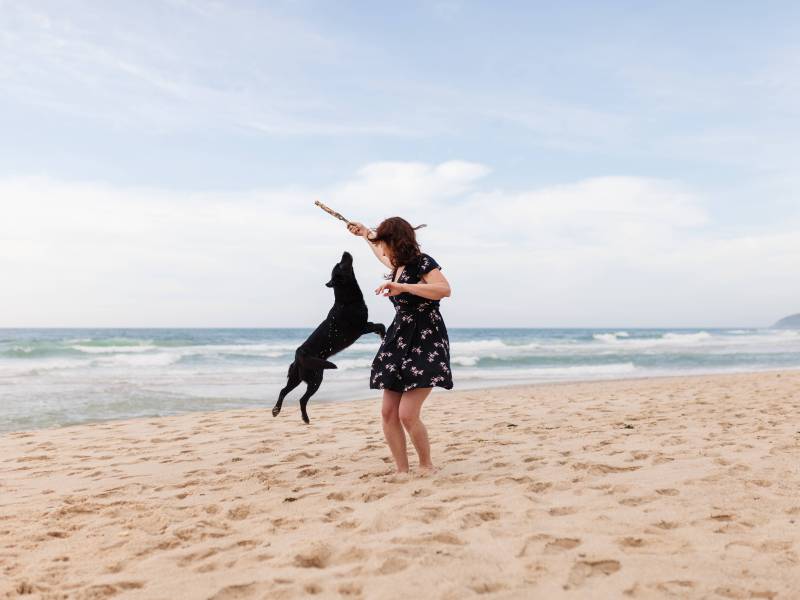 Frau spielt mit Hund am Strand