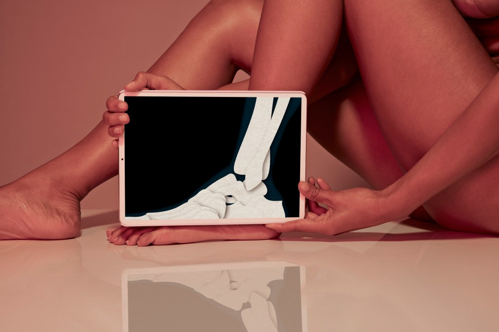 Gelenke Knochen Anatomie