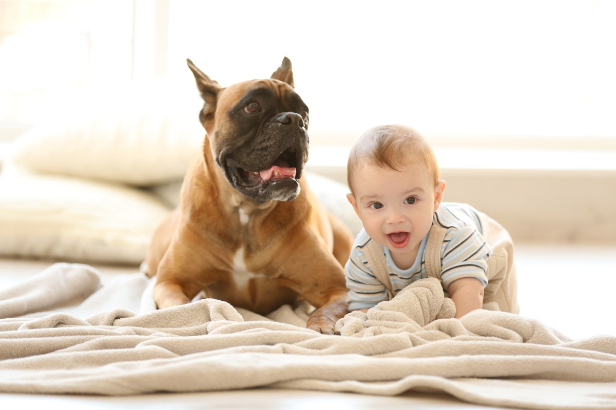 Hund und Baby liegen auf einer Decke.