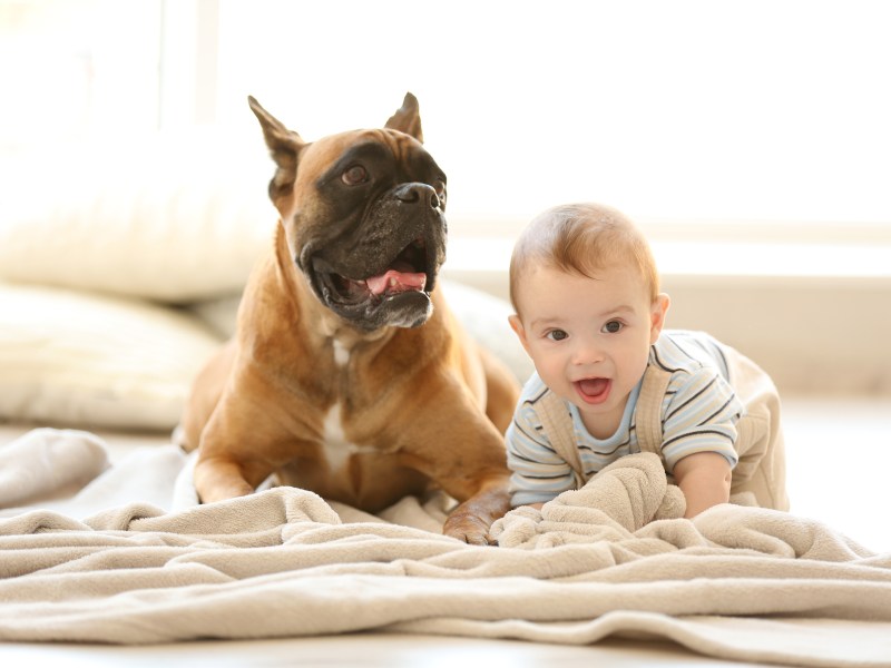 Hund und Baby liegen auf einer Decke.