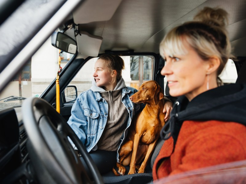 Urlaub Auto