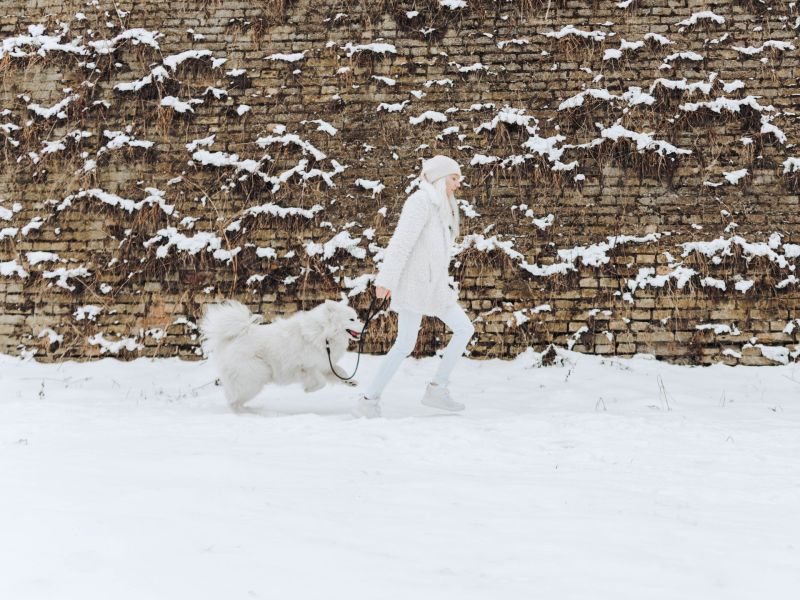 Frau beim Winterspaziergang mit Hund