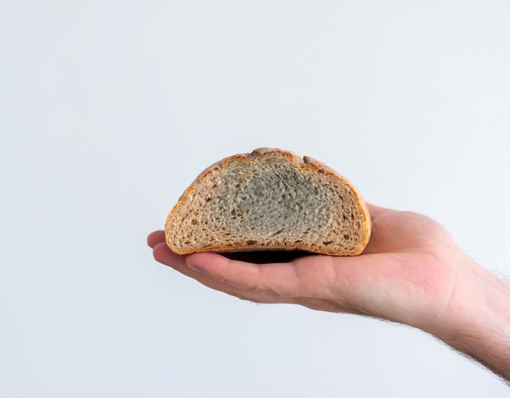 brot schimmel