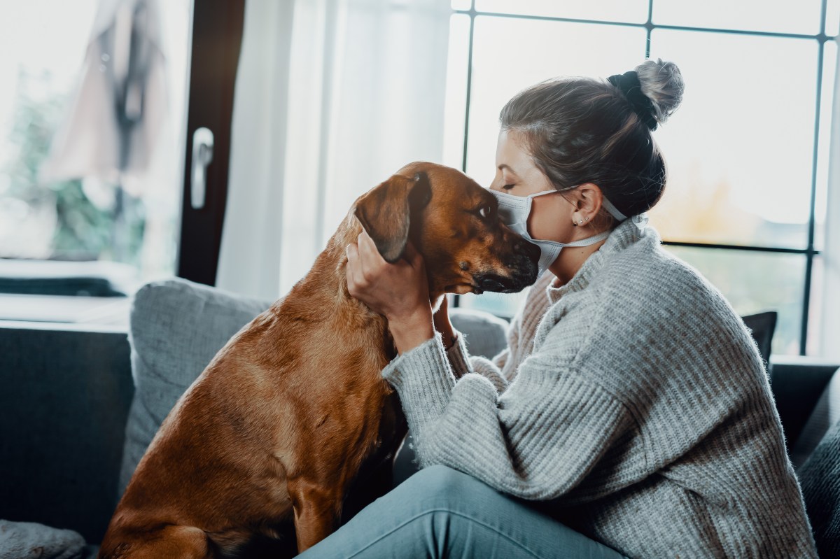 Frau mit Maske sitzt mit Hund auf dem Sofa und kuschelt ihn.