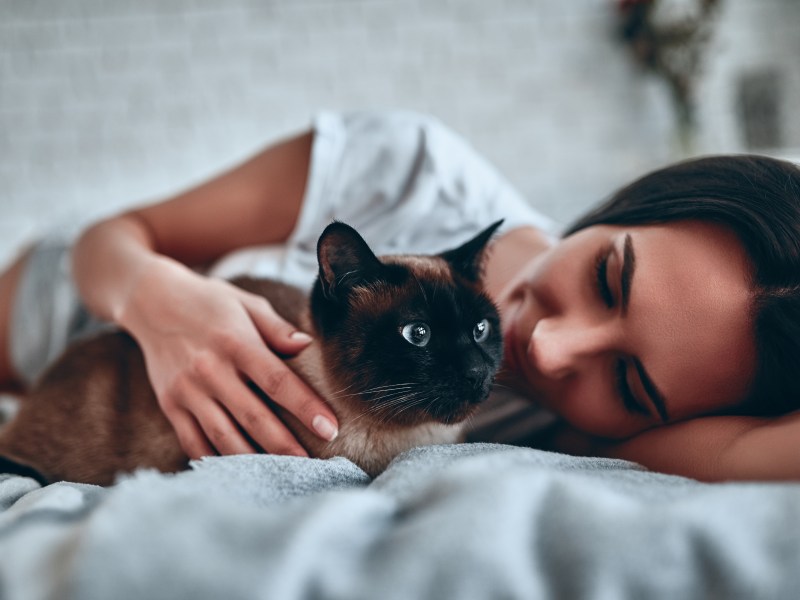 Frau und Katze schlafen im Bett gemeinsam.