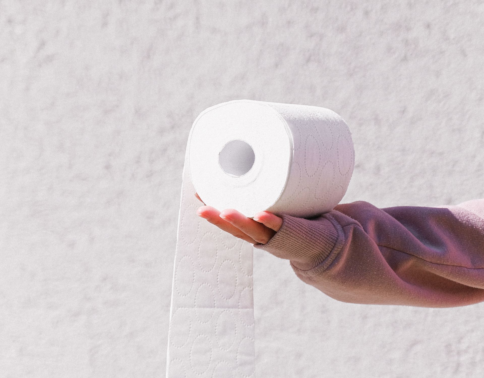 KlopapierRollen Diese 4 DIYDinge kannst du daraus machen wmn