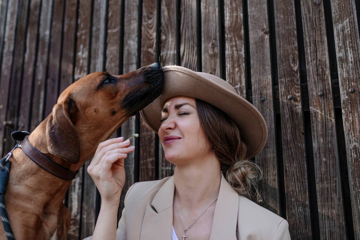 Hund riecht Angst an Frau