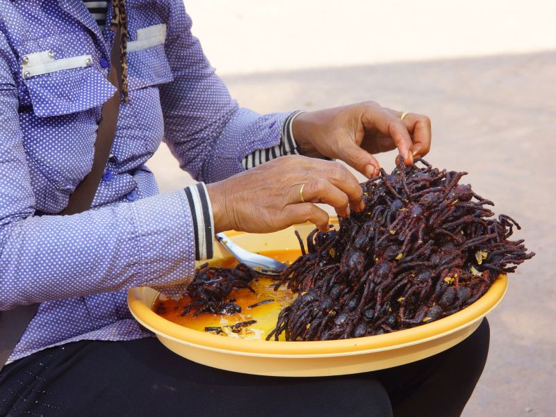 schlechtestes Essen der Welt