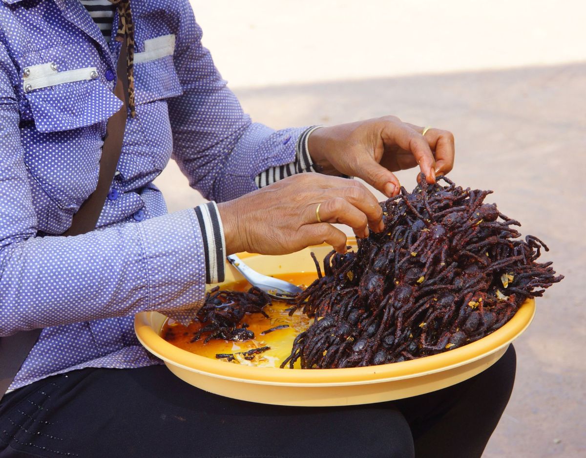 schlechtestes Essen der Welt