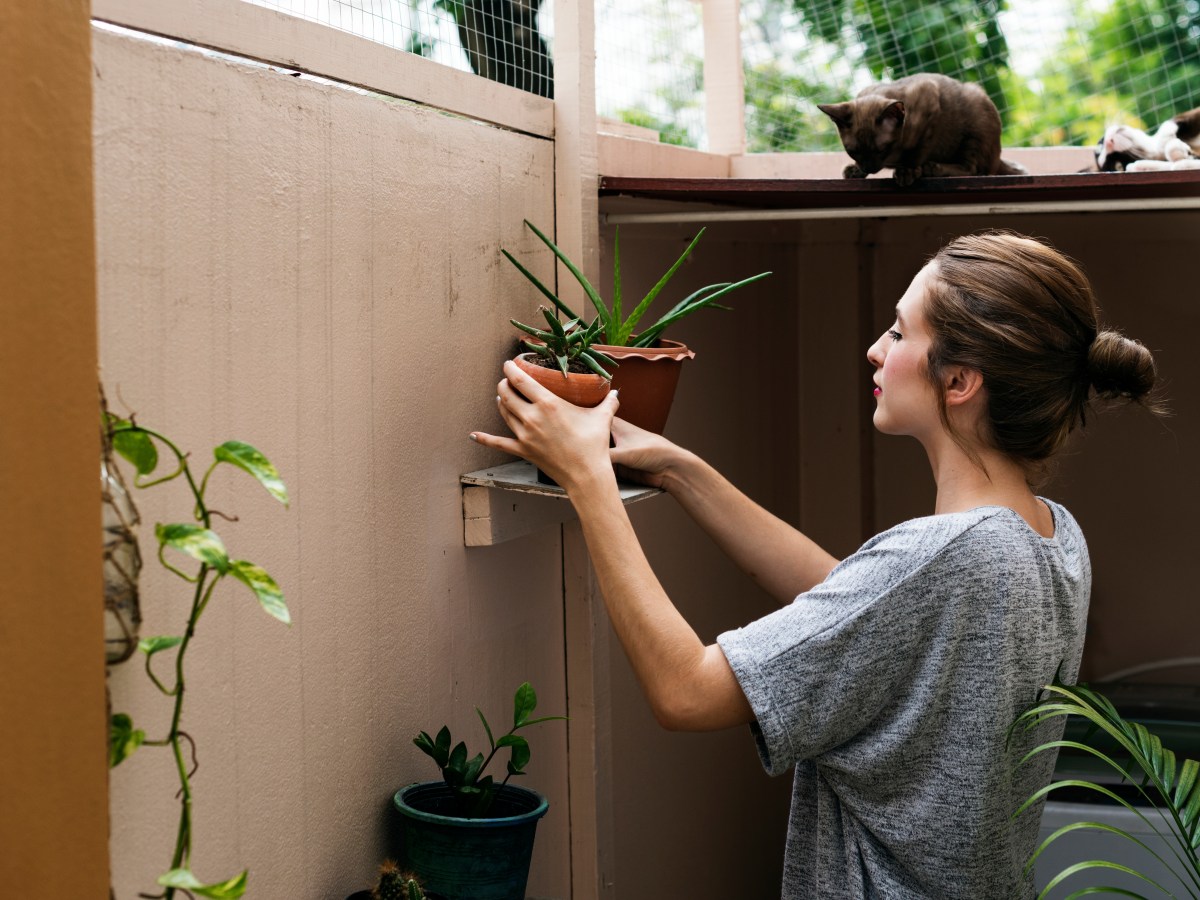 8 Kräuter, die du im Frühling auf dem Balkon pflanzen solltest