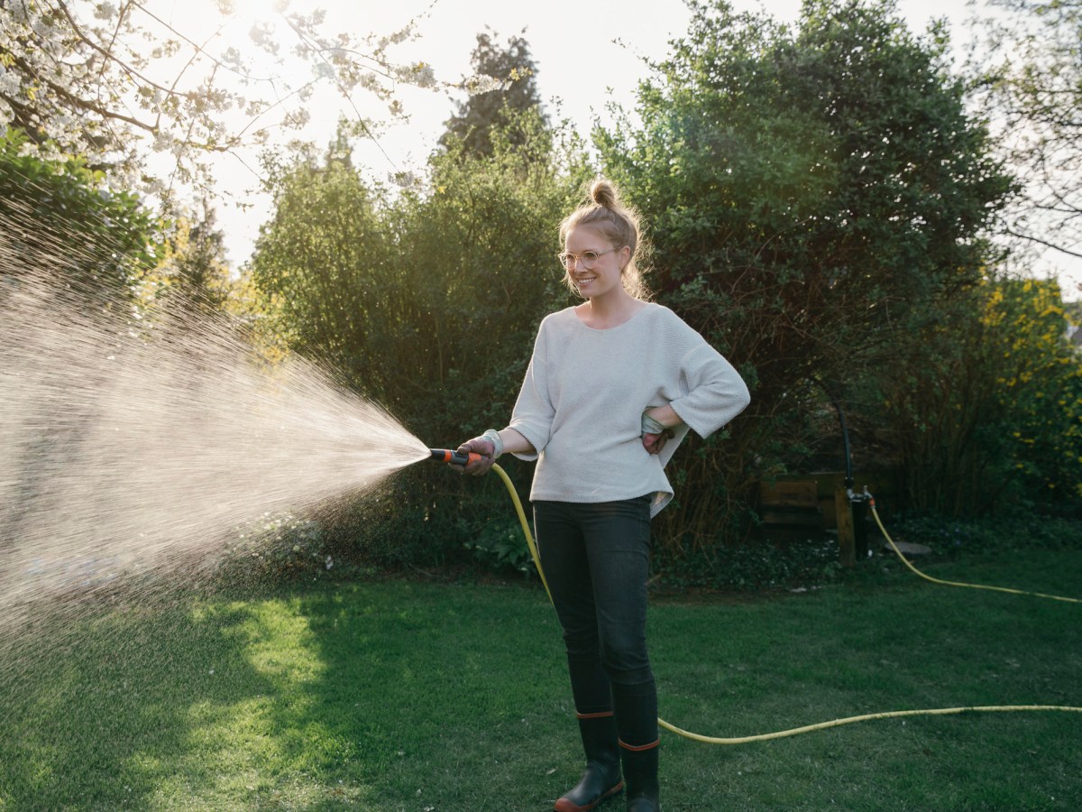 rasen wässern frau garten pflanze