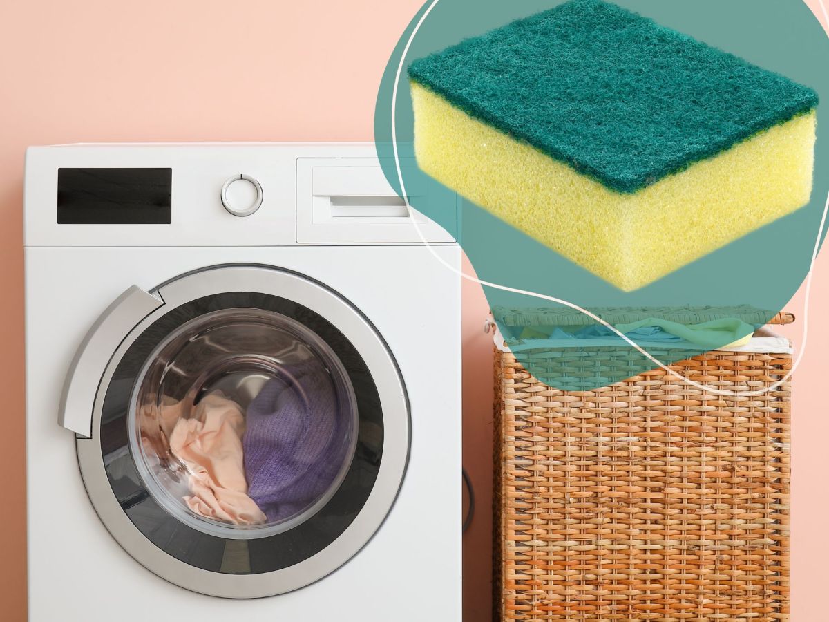 Darum sollte man einen Schwamm nicht in der Waschmaschine reinigen