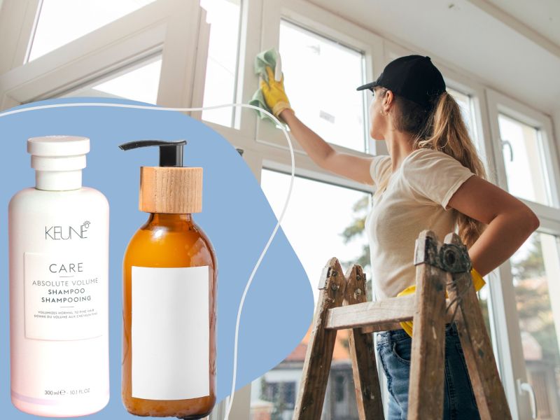 shampoo fenster putzen