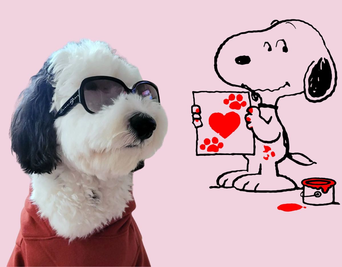 Bayley: Tierischer Doppelgänger von Snoopy!