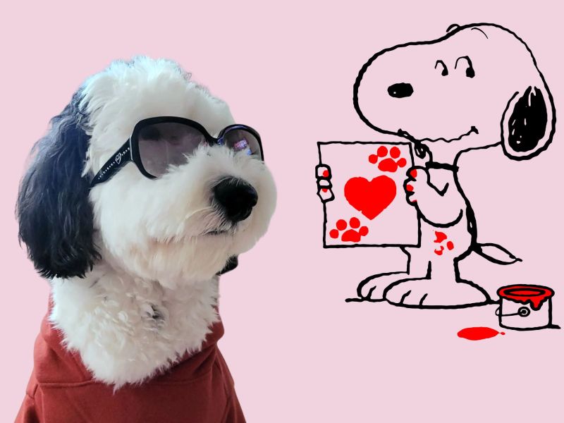 Bayley: Tierischer Doppelgänger von Snoopy!