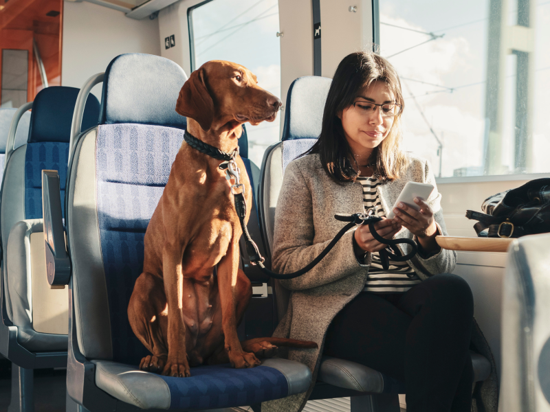 Hund sitzt in der Bahn neben einer Frau.