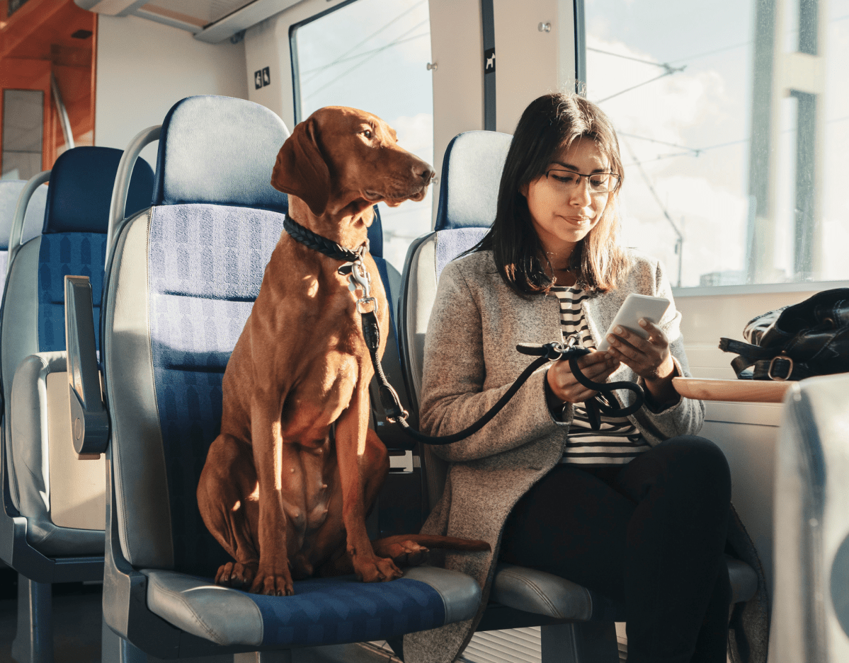 Hund sitzt in der Bahn neben einer Frau.