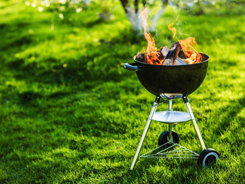 grill wiese barbeque feuer sommer essen flamme