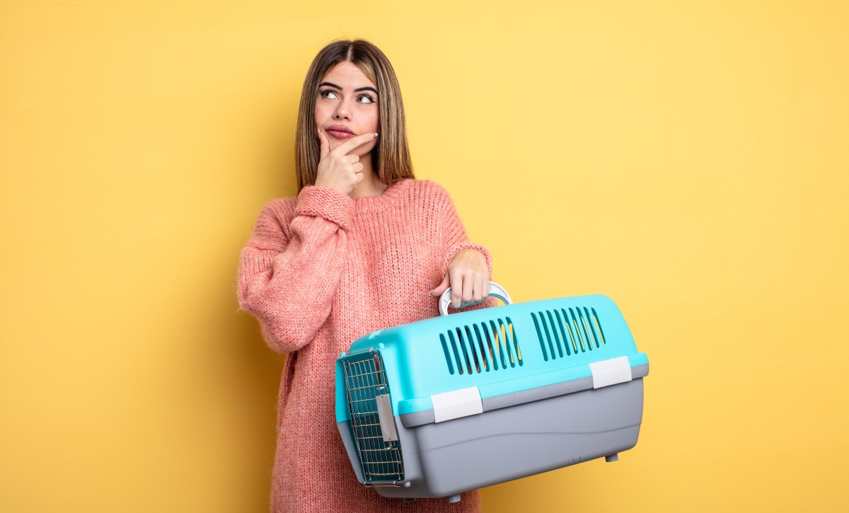 Junge Frau trägt einen Transportbox in der Hand.