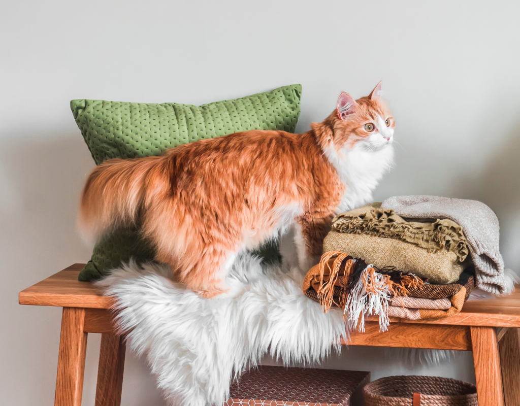 IKEA Upcycling: 10 schicke DIY-Katzenmöbel