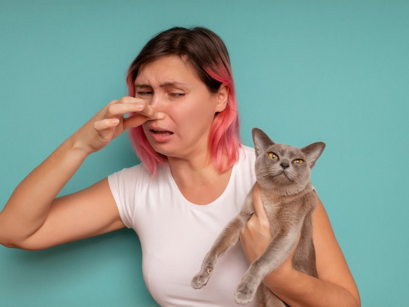 Frau hält sich die Nase zu und hält eine Katze auf dem Arm.