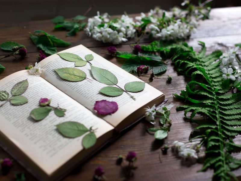 Herbarium