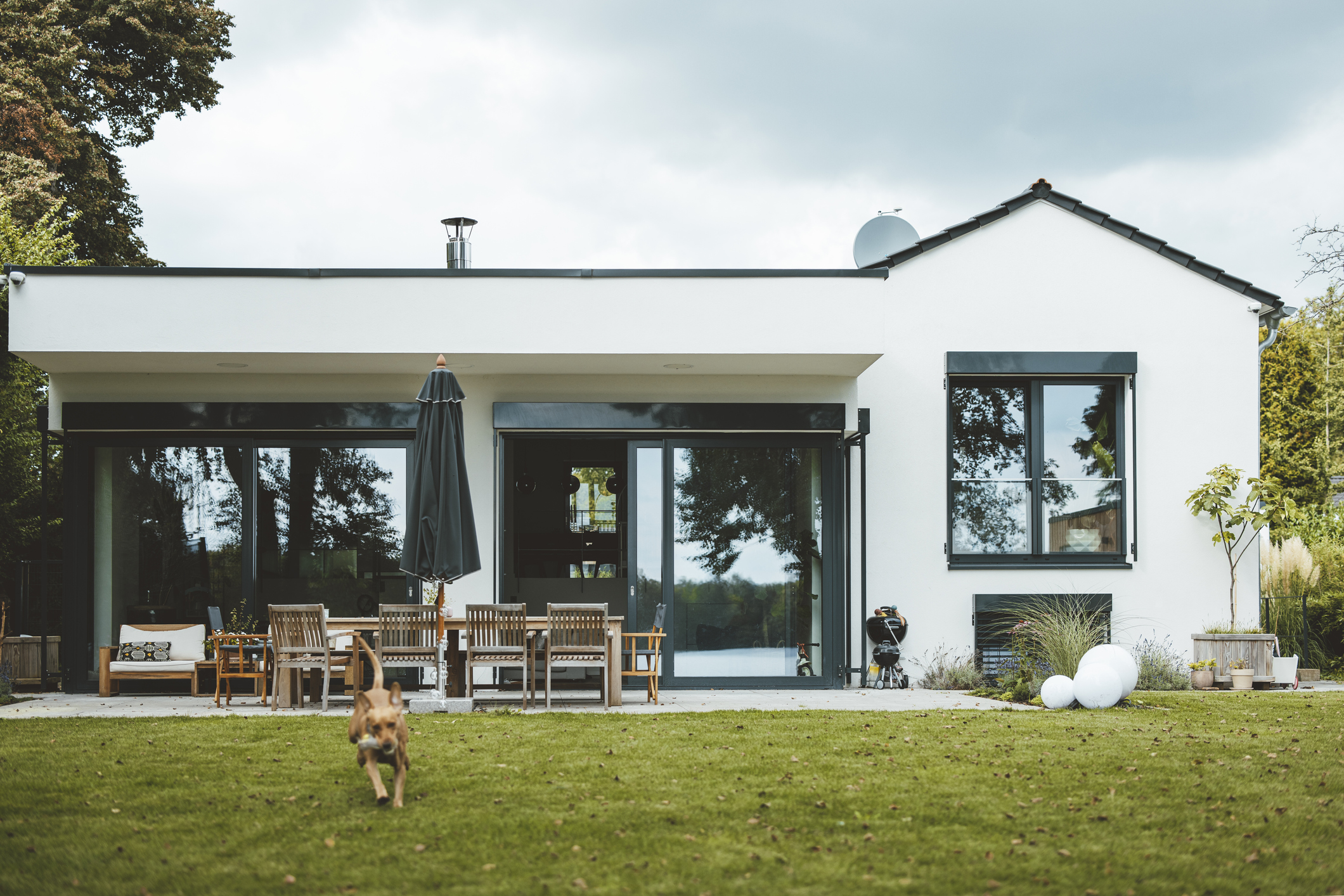 Hundeklo für den Garten bauen Anleitung und Pflegetipps wmn