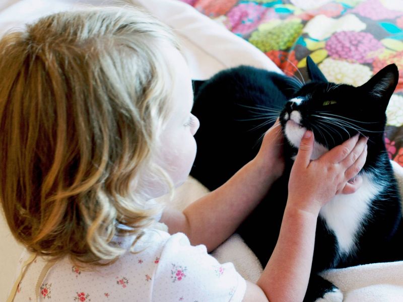 Kind und Katze: Viraler Hit auf TikTok