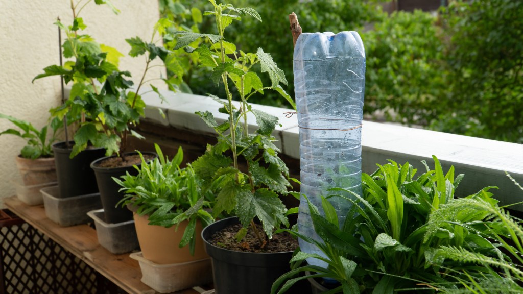 Bewässerung für Balkonpflanzen