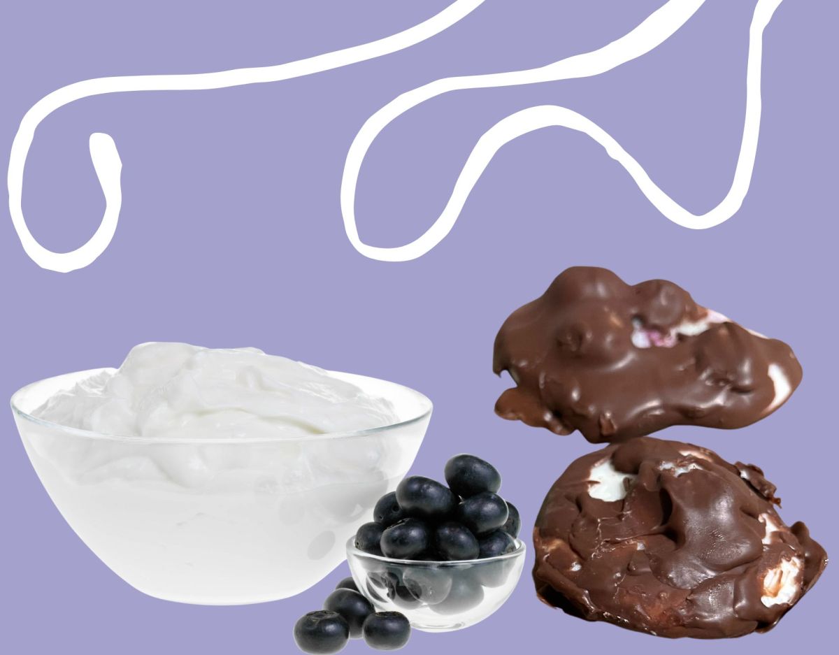 TikTok-Trend: Virale Blueberry Yogurt Clusters mit nur 3 Zutaten