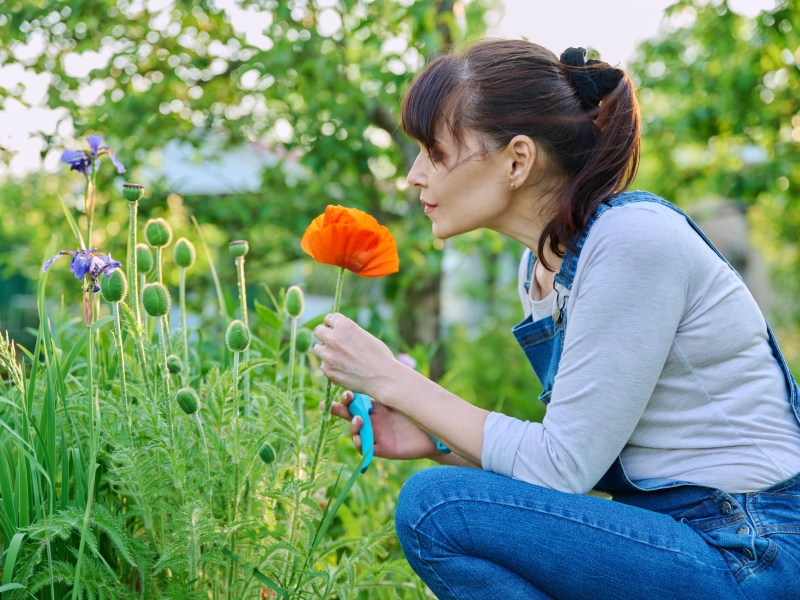 Frau mit Mohn