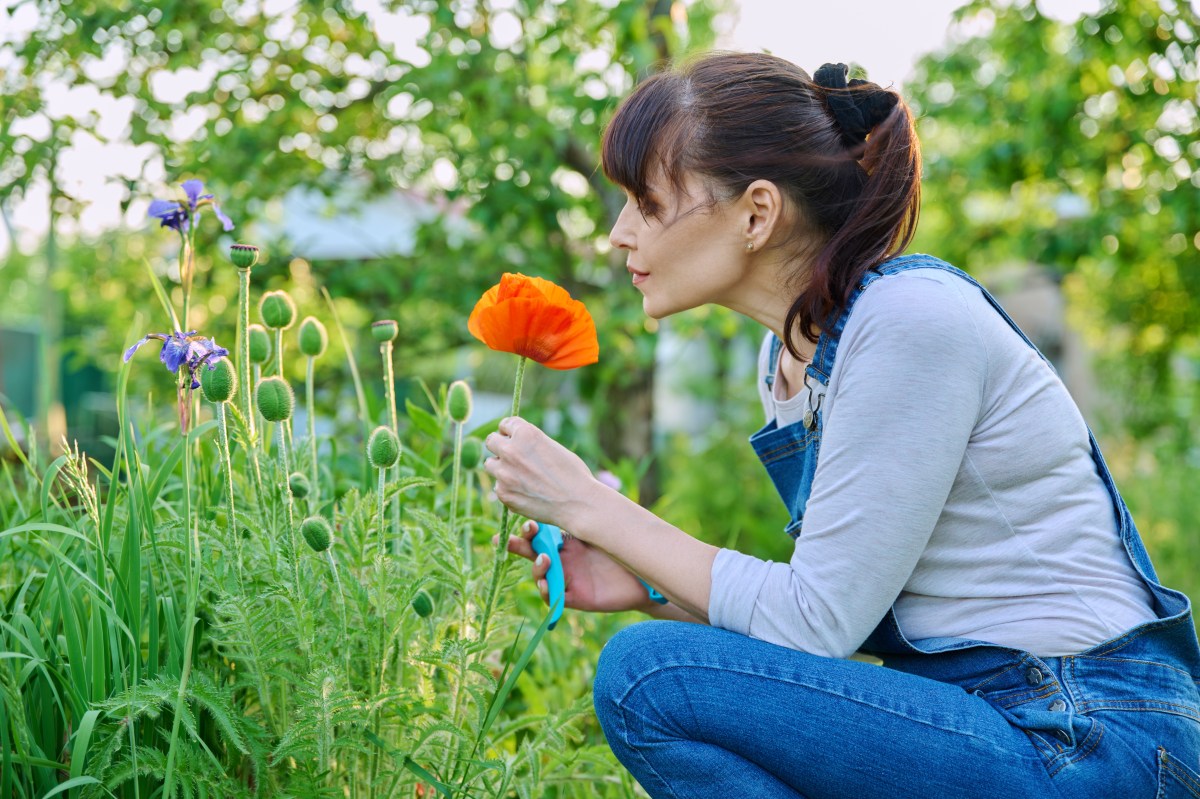 Frau mit Mohn