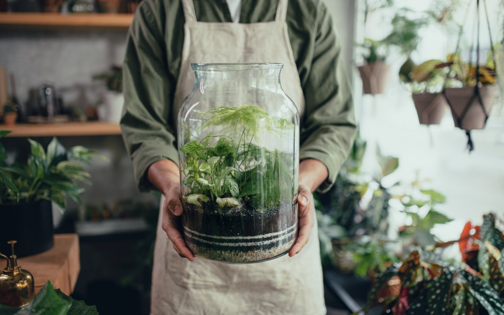 Terrarium im Glas