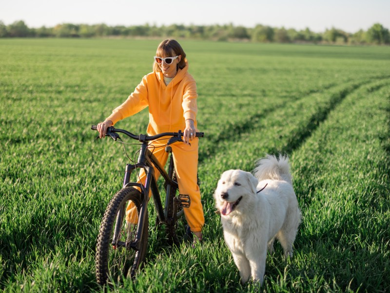 Hund läuft neben einer Frau auf dem Fahrrad.