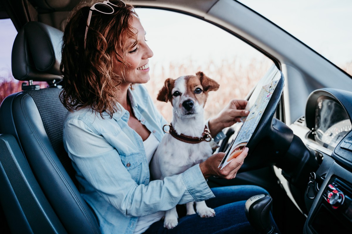 Frau mit Hund auf dem Schoß während Autofahren