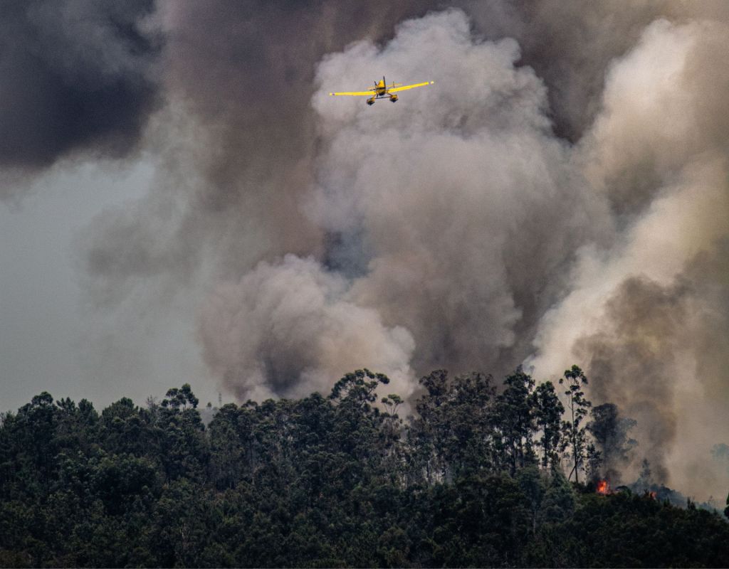 Waldbrand