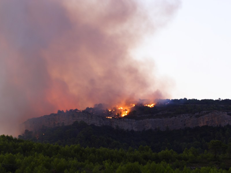 Waldbraende Suedfrankreich