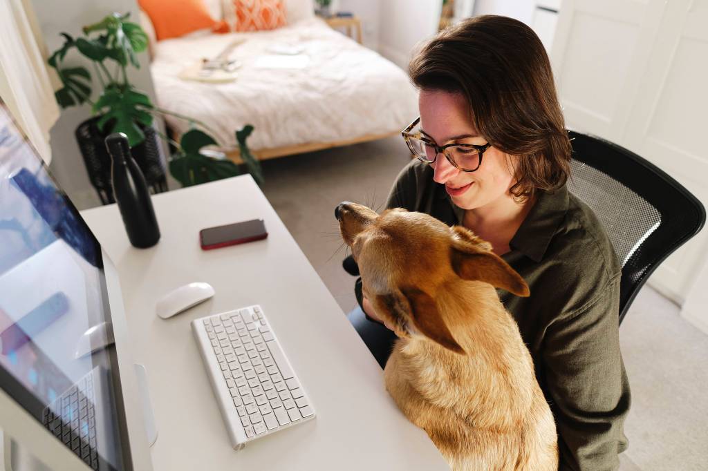 Frau Homeoffice Hund