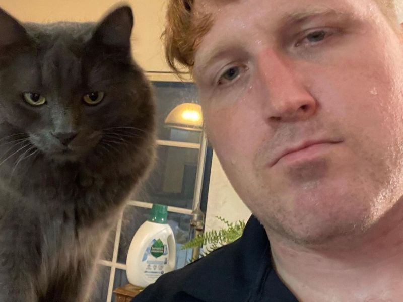 How To Speak Cat: Katzenflüsterer Alec Newman geht viral