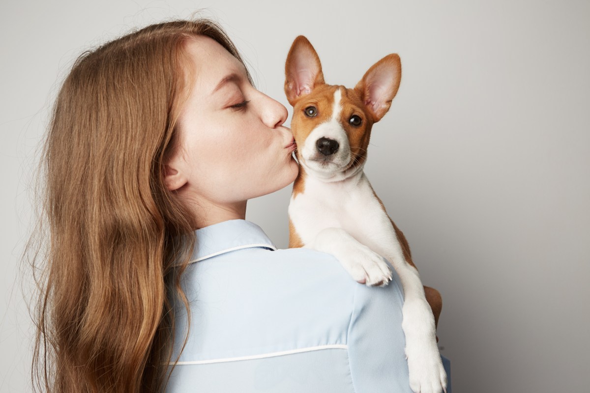 Frau hat Basenji Hund auf dem Arm und gibt ihm einen Kuss