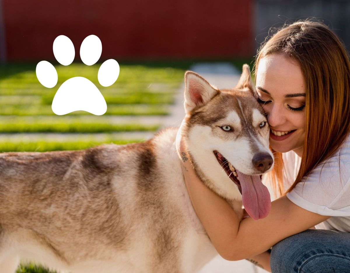 Hunde Tattoos: Tolle Motive für dein Kunstwerk