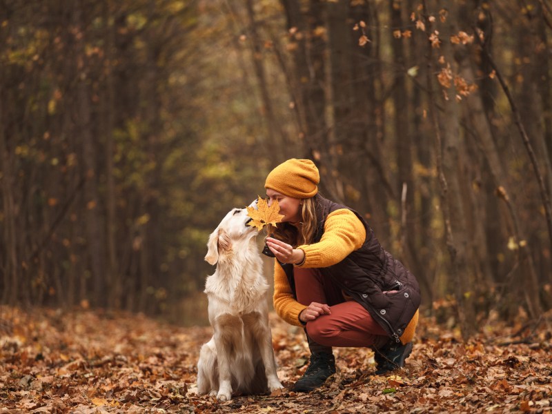 Hund mit Frau im Wald