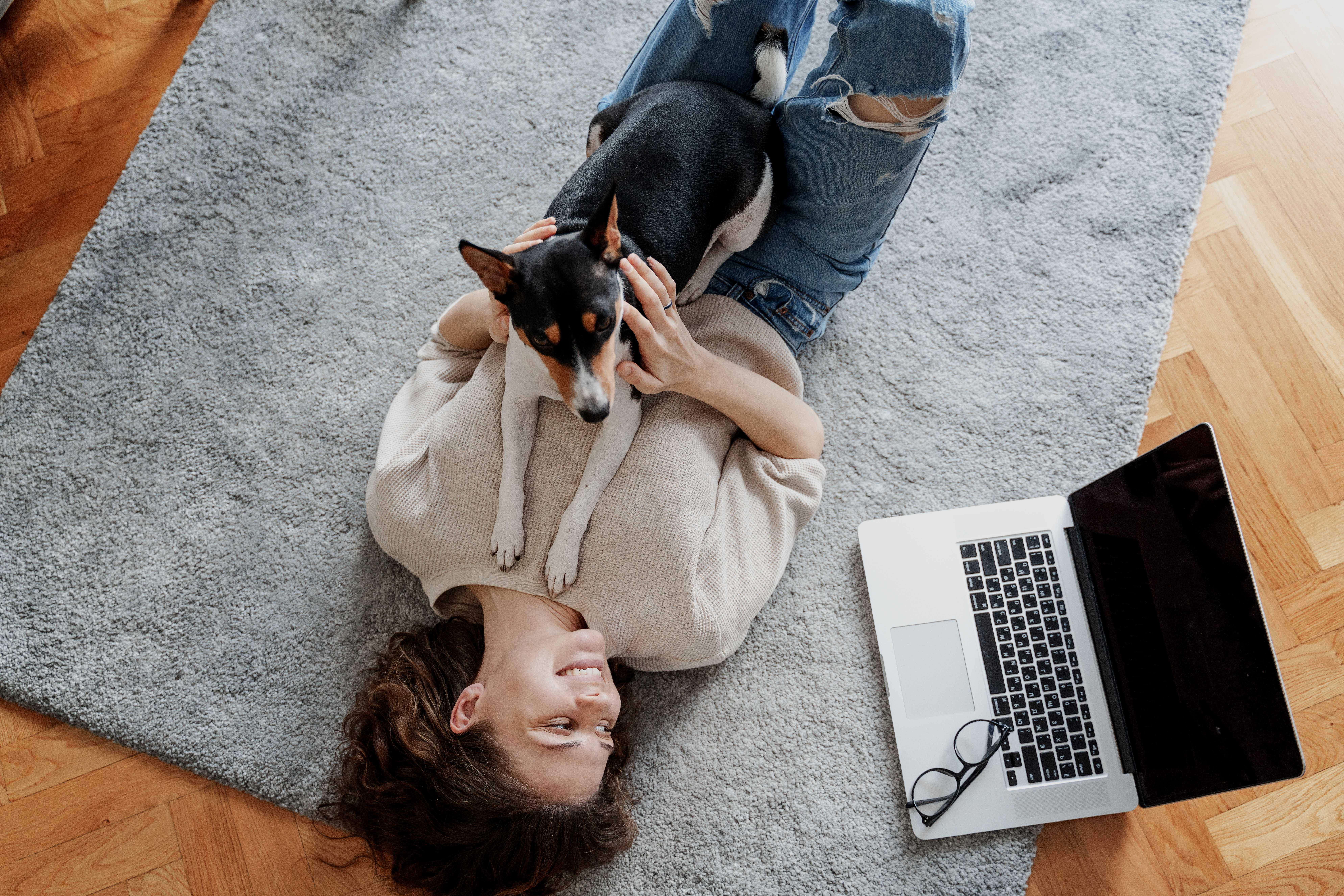 Hilfe-mein-Hund-rammelt-mich-Was-bedeutet-das-