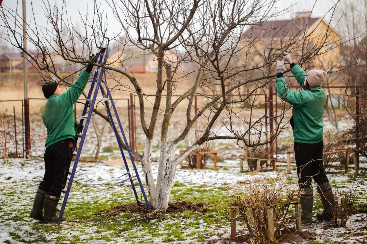 Leute machen Garten winterfest