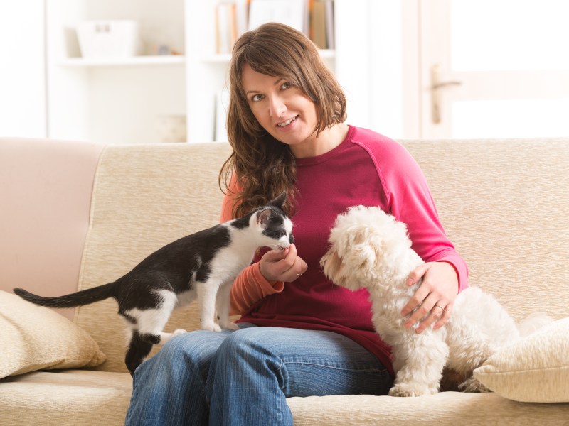Frau gibt Hund und Katze Fürsorge auf dem Sofa