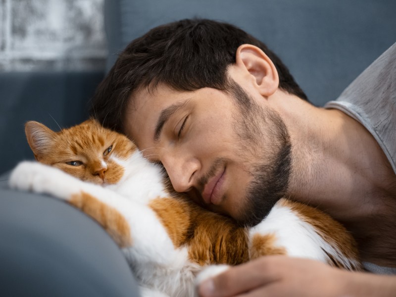 Mögen Katzen Männer lieber als Frauen?