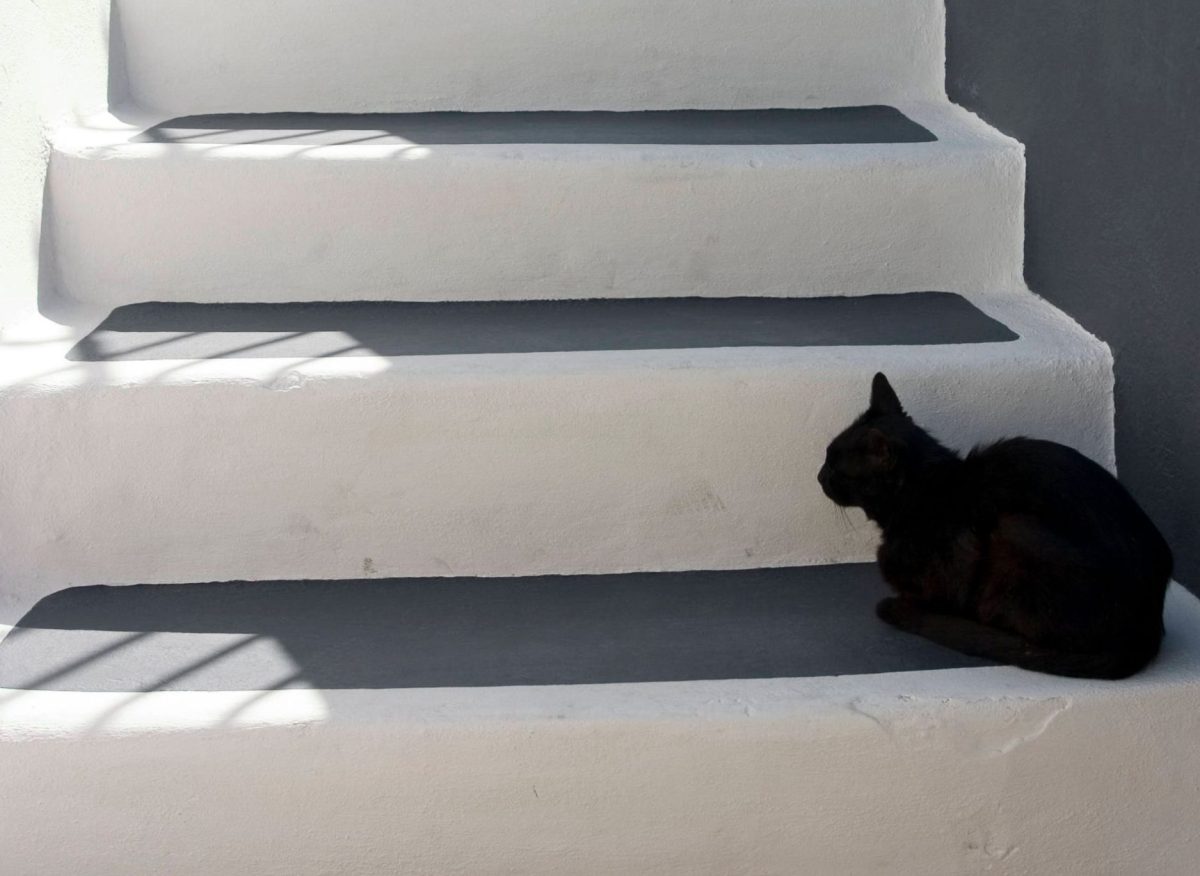 Persönlichkeitstest: Was macht die Katze auf den Stufen? (Symbolbild)