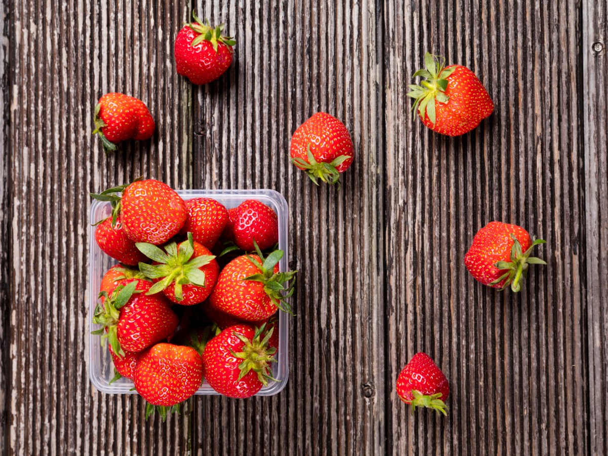 Upcycling: 6 tolle Bastel-Ideen für deine alten Erdbeer-Plastikschale