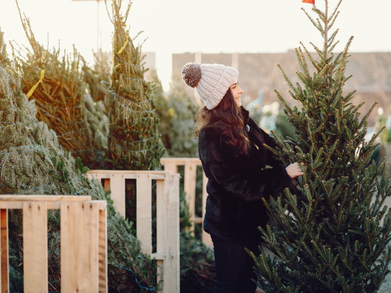 Frau mit Weihnachtsbaum